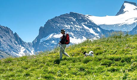 Reisen mit Hund